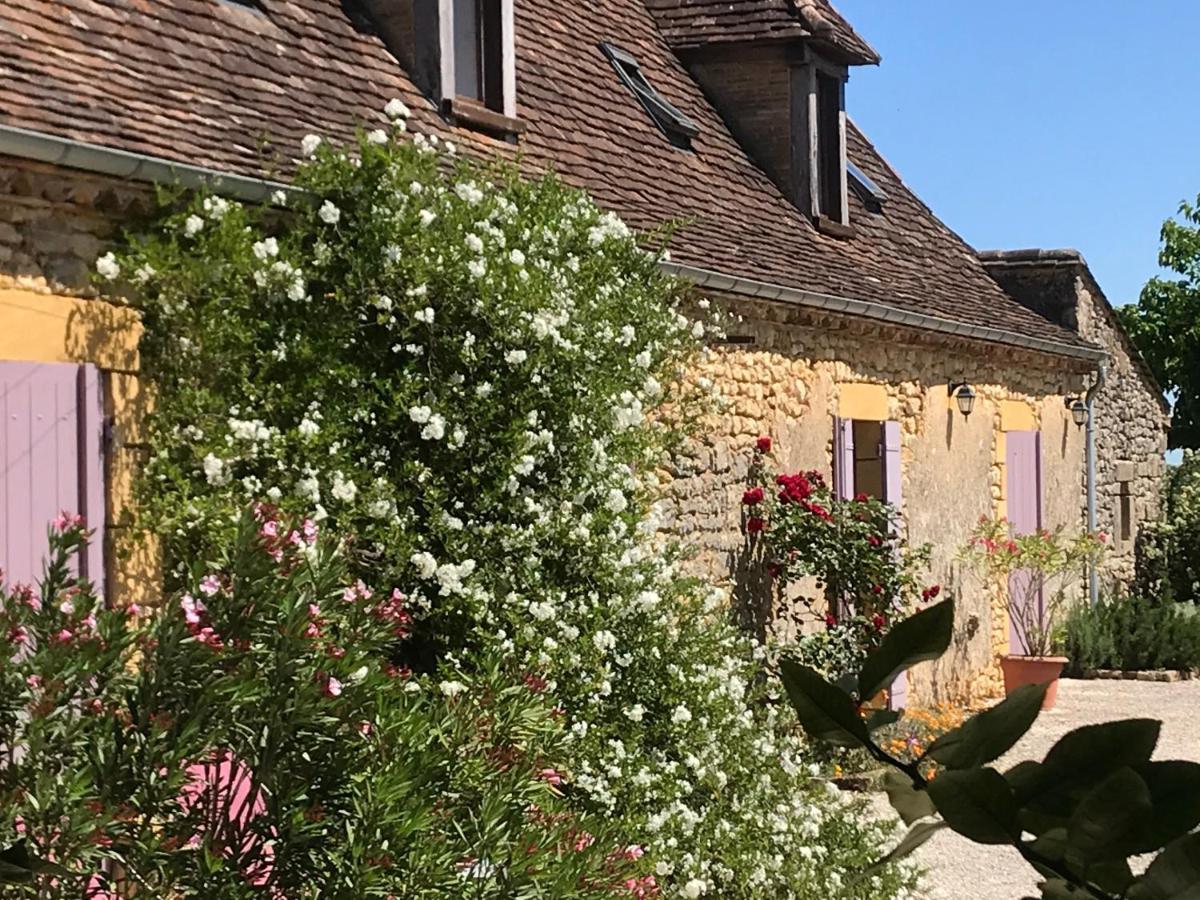 Chambre d'hôtes La Ferme de la Croix. Saint-Avit-Sénieur Exterior foto